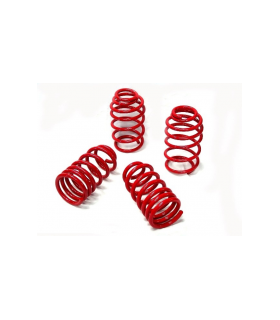 Muelles Rebajados V-Maxx Ford Mustang Fastback / Convertible 2.3 / 3.7